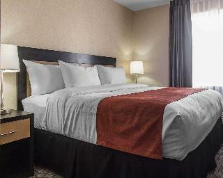 Hotel Quality Inn & Suites Kingston