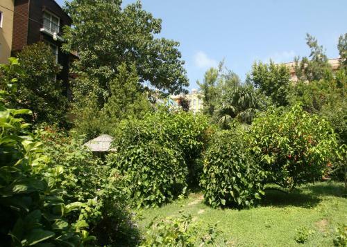 Sevkibey Hotel