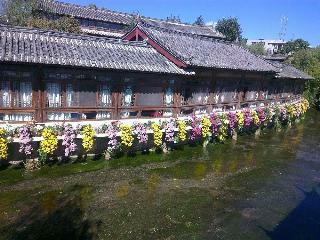 Hotel Lijiang Sina