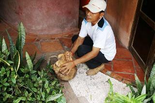 Hotel Paradise Eco Resort Siem Reap