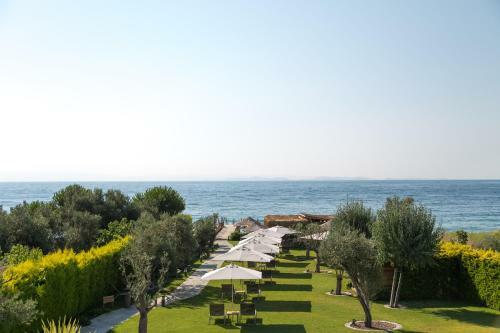 Ida Costa Hotel - Special Category