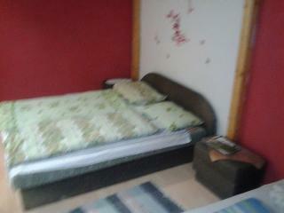 Hotel Artificial Hostel