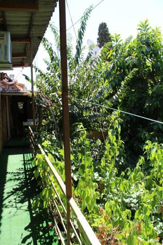 Hotel Lazer Pension