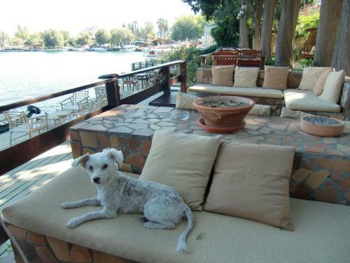 Hostal Hotel Happy Caretta