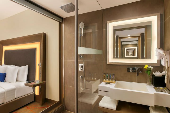 Hotel Novotel Ahmedabad