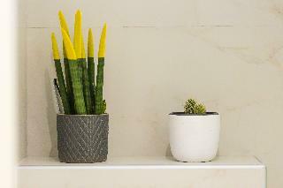 Hotel Radamanthys Apartments