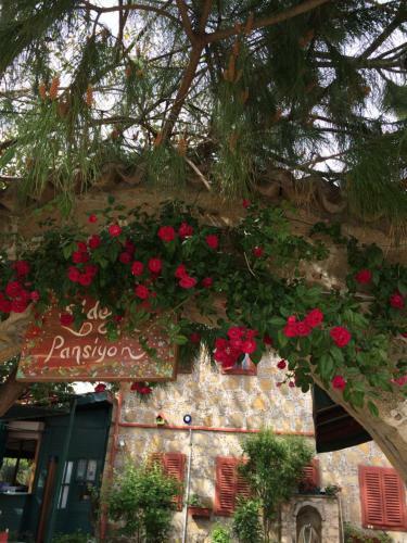 Hostal Side Doga Pension