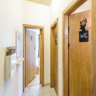 Hostal Downtown Forest Hostel & Camping