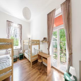 Hostal Downtown Forest Hostel & Camping