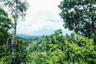 Hotel Amigo's Home Stay