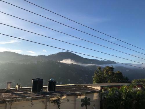 Hotel Amigo S Home Stay