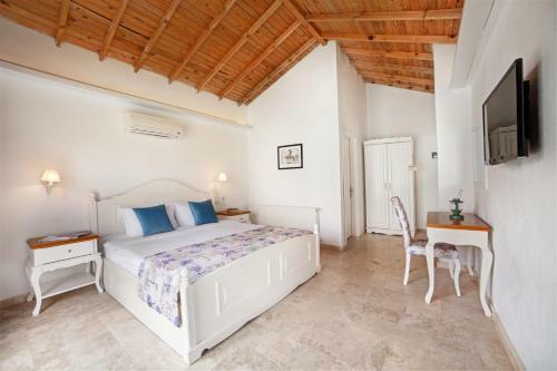 Hostal Yedi Bilgeler Vineyards