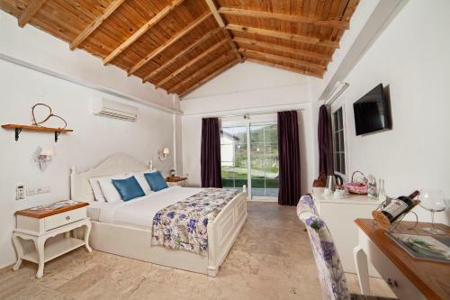 Hostal Yedi Bilgeler Vineyards