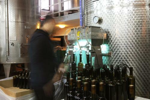 Hostal Yedi Bilgeler Vineyards