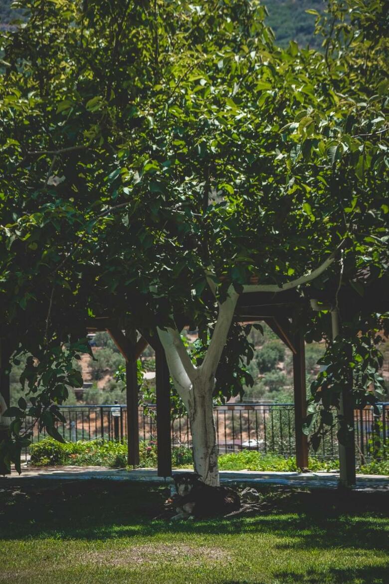 Apartamento Natureland Efes Pension