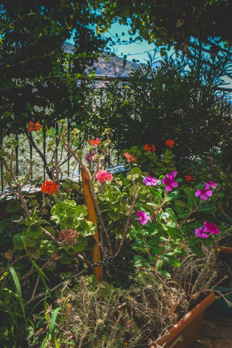 Apartamento Natureland Efes Pension