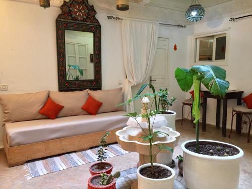 Hotel Riad Orange Cannelle