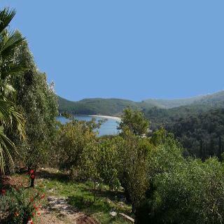Hotel Cochelli Villas