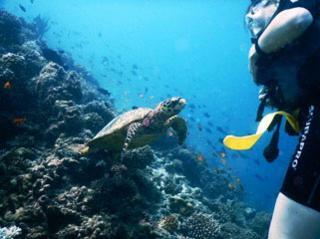 White Sand Dhigurah