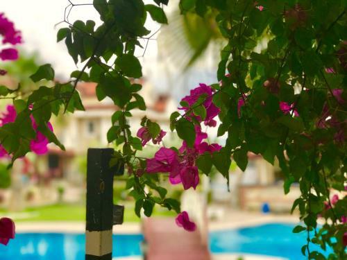 Lale Apartments Fethiye