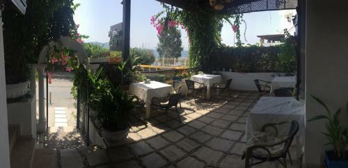 Bed & Breakfast Pasha Motel