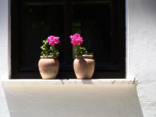 Hostal Villa Rhapsody Pension