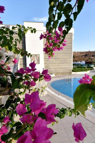 Apartamento Royal Palm Residence