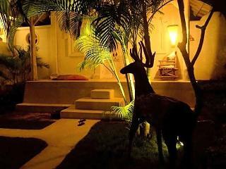 Hotel Sal Secret Spot