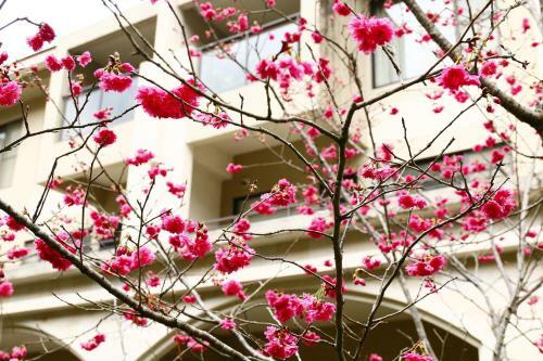 Hotel Tai-yi Red Maple Resort