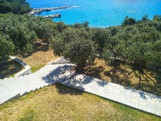 Hotel Celeste Golden Beach