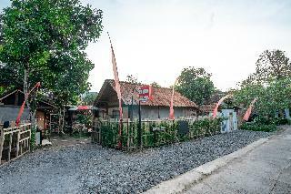 Oyo 2393 Omahe Nawung