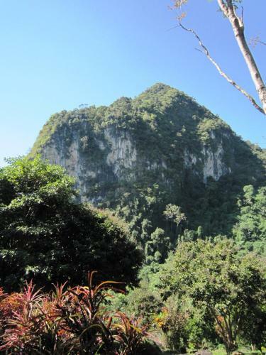 Hotel Phanom Bencha Mountain Resort
