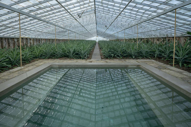 Senhora Da Rosa, Tradition & Nature Hotel
