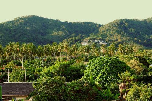 Hostal Tropical Sands