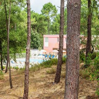 Hotel Les Grands Pins