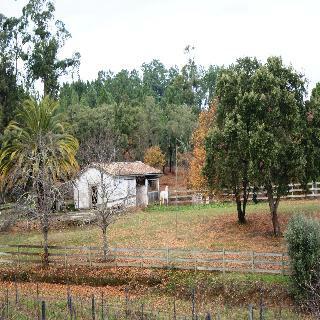 Bed & Breakfast Quinta Do Albergue Do Bonjardim