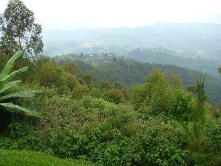 Nyungwe Top View Hotel