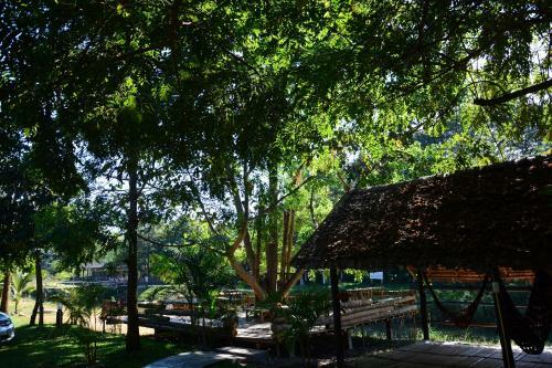 Hotel Pai Loess Resort