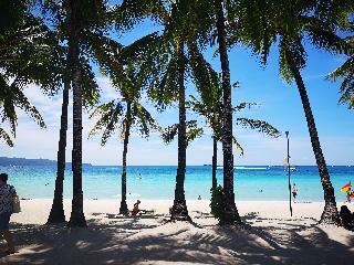 Hotel Calypso Beach And Dive Resort