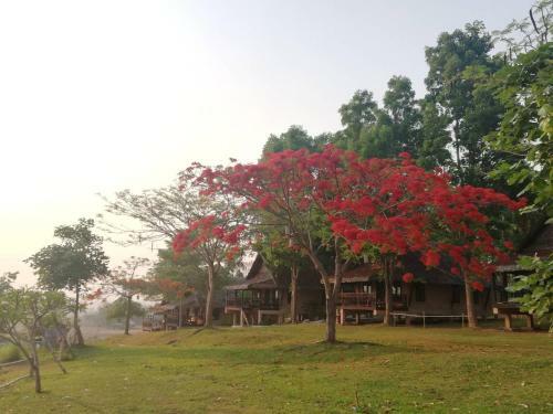 Lodge Phu Pai Art Resort