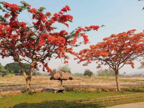 Lodge Phu Pai Art Resort