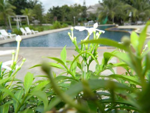 Hotel Pai Iyara Resort