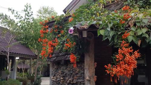 Hostal Pai Klang Vieng