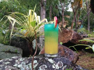 Hotel Cerf Island Resort