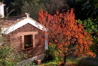 Bed & Breakfast Casa Das Cercas