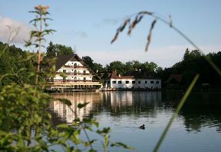 Hotel Alma - Grad Hrib