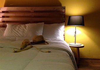 Pod Hostel & Designshop