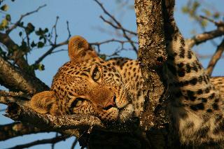Hotel Kuname Lodge