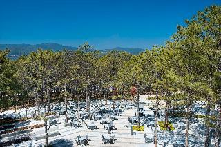 Terracotta Hotel & Resort Dalat