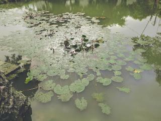 Hotel Tam Coc Rice Fields Resort